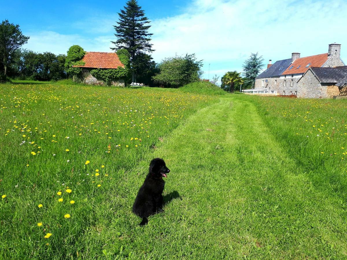 L' Anpeg, Gite Dans Le Cotentin Jusqu'A 8 Personnes Besneville Экстерьер фото